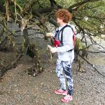 ramassage de plastique dans les branchages à Londres