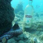 Bouteille de vodka et poulpe au fond de l'eau