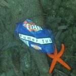 Un paquet de cigarette et une étoile de mer au fond de l'eau
