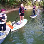 clean-up en paddle à Joinville
